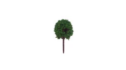 Railscenix Trees OO Gauge Mixed Set Of 25, 3.5cm-13cm -Model Rails Shop Tree Type 7 12674.1655216841